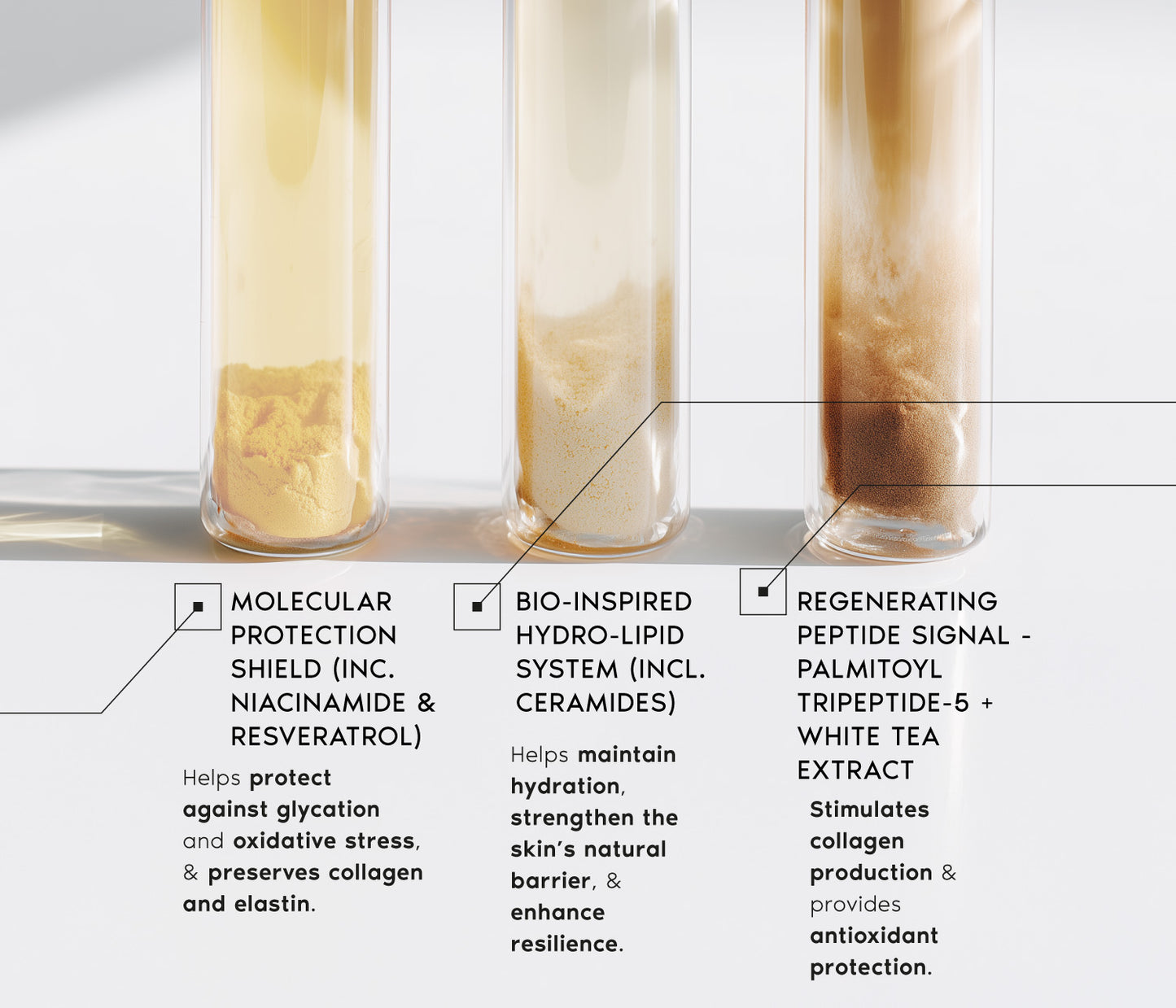 Molecular Regeneration Emulsion Day - Face