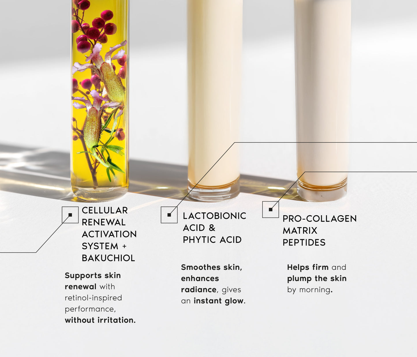 Cellular Renewal Emulsion Night - Face