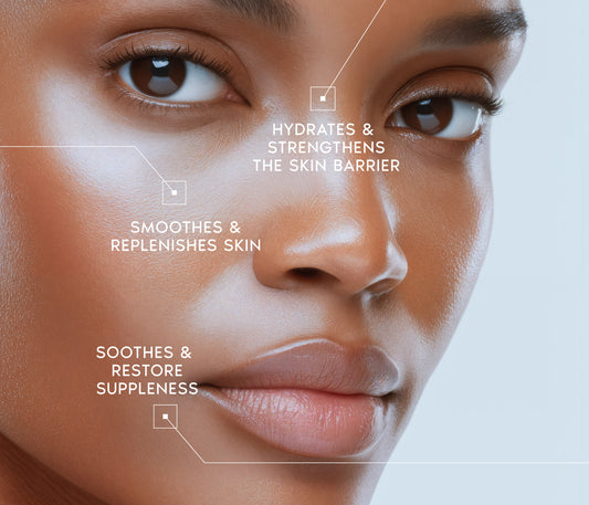 Bio-Identical Lipid-Replenishing Cream - Face