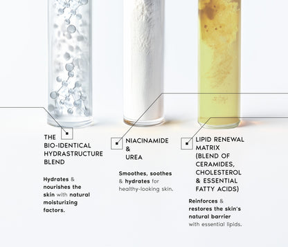 Bio-Identical Lipid-Replenishing Cream - Face